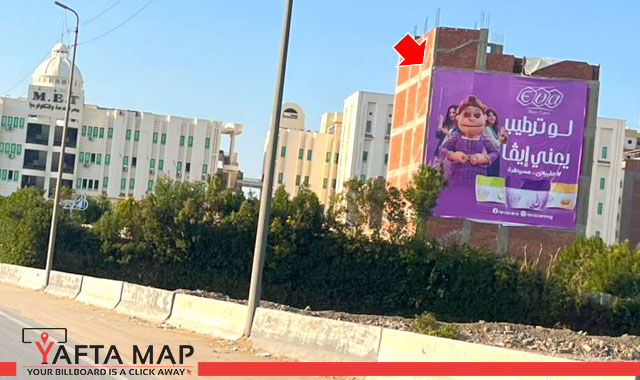 Wall - Mansoura Ring road