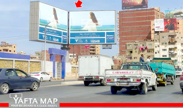 Butterfly - Kafr Al-Shekh