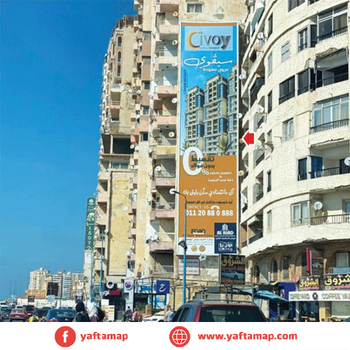 LIGHT BOX - CORNISH - ALEXANDRIA